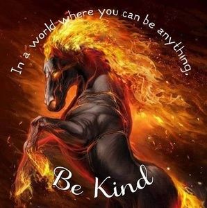 Meet your Posher, Lynn